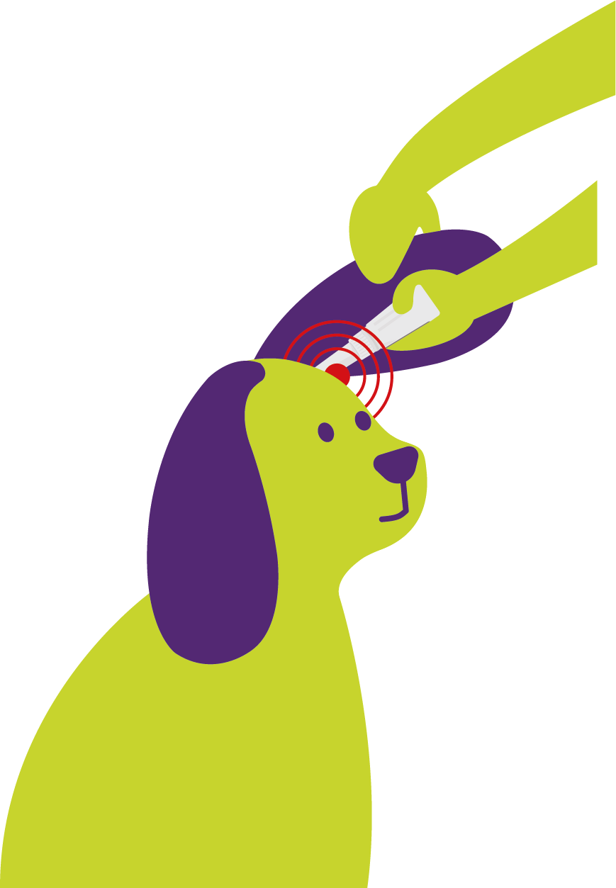 Neptra For Dogs 6 Artboard 3