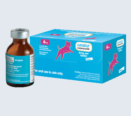 Onsior For Cats Injection 3 Cats injection 01
