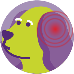 Neptra For Dogs 9 Neptra Anti inflammatory mometasone