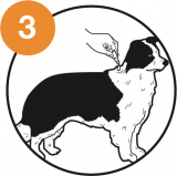 Step 3 directions of use on advocate for dogs