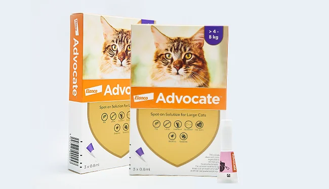 Advocate For Cats 2 advocate cat product