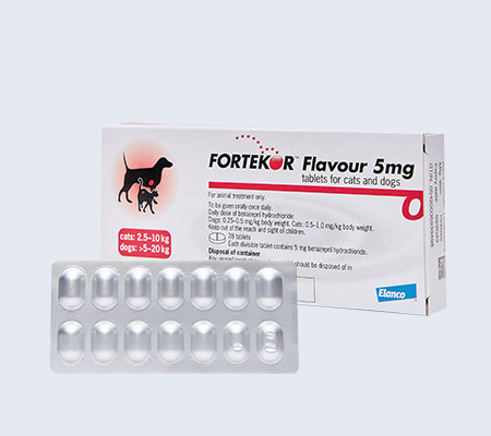 fortekor for dogs