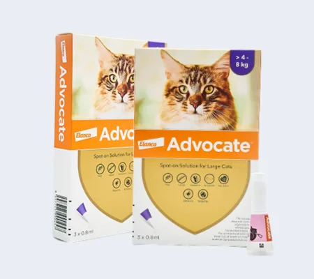 Advocate For Cats 13 1