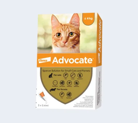 Advocate For Cats 12 2